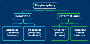 Plagiocephaly synostotic vs. deformational.